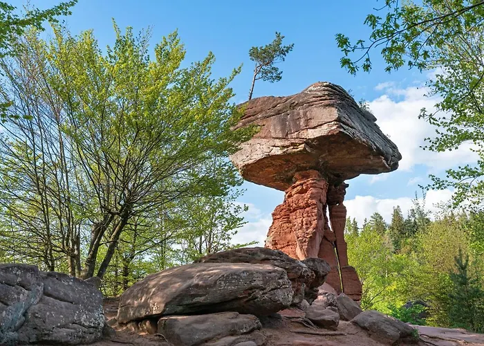 Hotel Restaurant Alt 3*