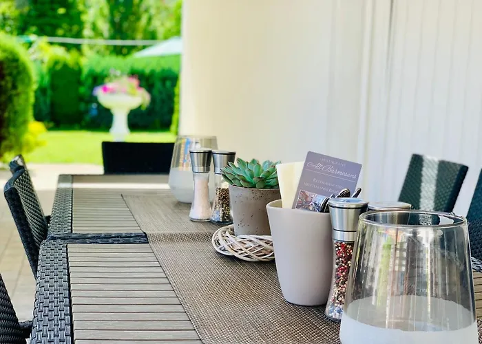 Restaurant Alt Hotel 3*